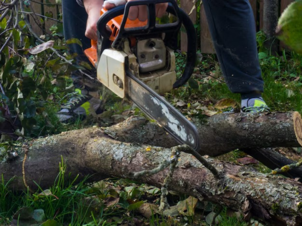 Expert Tree Removal for Safe Hazardous Tree Solutions