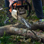 Expert Tree Removal for Safe Hazardous Tree Solutions