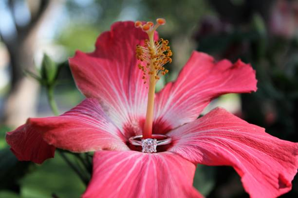 Discover What Makes the 18K Yellow Gold Lily Arkwright Lulu Ring Stand Apart